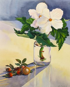 Witte Begonia en Rozenbottels