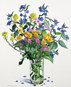 Wilde Bloemen met Alkanet door Christopher Ryland