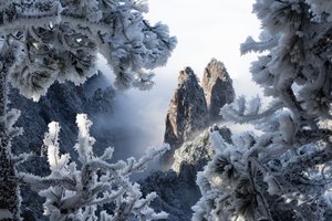 Majestueuze wintertoppen