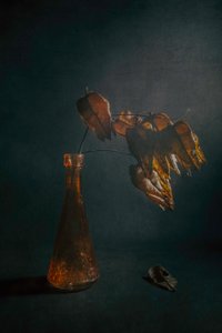  door Cicek Kiral