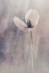  door Cicek Kiral
