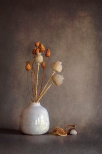  door Cicek Kiral