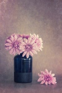  door Cicek Kiral