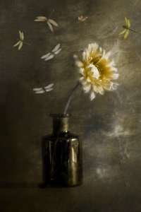  door Cicek Kiral