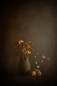  door Cicek Kiral