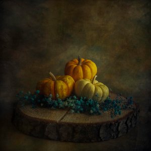  door Cicek Kiral