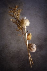  door Cicek Kiral