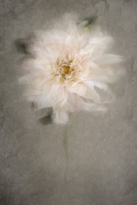  door Cicek Kiral