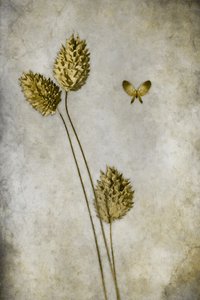  door Cicek Kiral