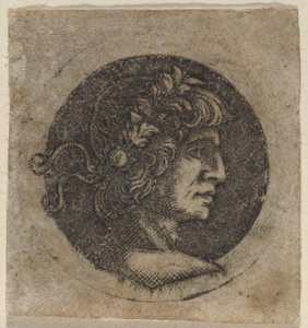 Hoofd van een Romeinse Keizer door Circle of Francesco Francia