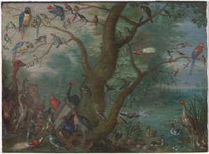 Concert van vogels door Circle of Jan van Kessel the Elder