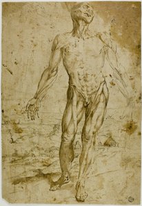 Écorché voor Landschap (recto); Schetsen van Staand Mannelijk Naakt, Zittend Kind, Bukkende Vrouw (verso)