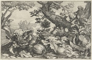 Landschap met pompoenen en kolen door Claes Jansz. Visscher (II)