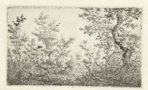 Open plek in het bos door Claes van Beresteyn