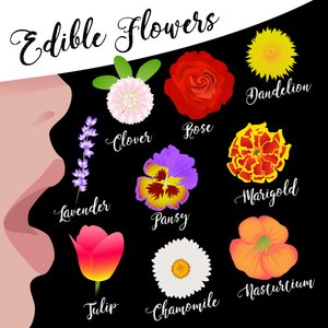 Eetbare Bloemen door Claire Huntley