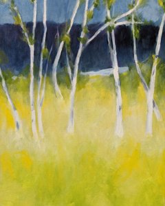 door Claire Whitehead