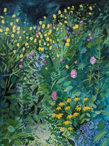  door Claire Whitehead
