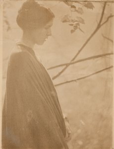 Zonlicht door Clarence H. White