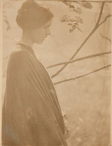 Zonlicht door Clarence H White