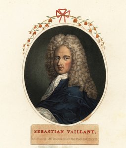 Portret van Sebastian Vaillant, Franse botanicus door Claude Aubriet