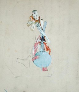 Zenuwstelsel in het hoofd van een kat, 25 mei 1842