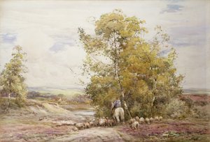 Dorset Pastoraal