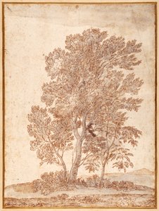 Drie bomen door Claude Lorrain