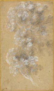 Schets van bladeren en takken door Claude Lorrain