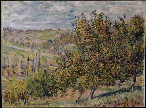 Appelbloesem, 1878
