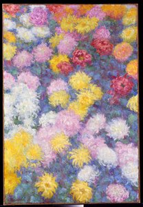 Chrysanten