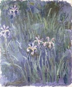 Iris, c.1914-1917