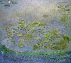 De waterlelies