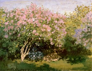 Sering in de zon, 1872-1873