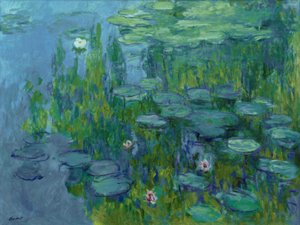 Waterlelies