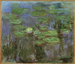 Waterlelies