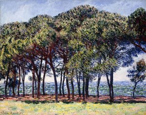 Pijnbomen, Cap d
