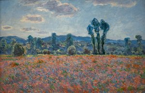 Klaprozenveld