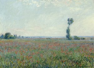 Klaproosveld door Claude Monet