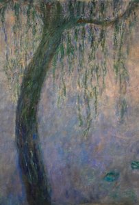 Waterlelies door Claude Monet