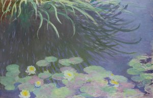 Waterlelies met reflecties van hoog gras, 1914-1917