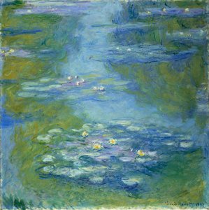 Waterlelies