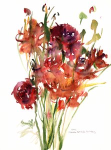 Ranonkels, 2001