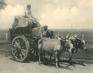 Ossenkar