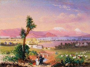 Een Uitzicht op Mexico-Stad