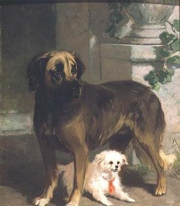 Een mastiff en een bichon door Conradyn Cunaeus
