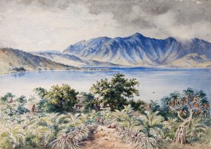 Naiviri Bay, Nananu, Fiji 1876 door Constance Frederica Gordon Cumming