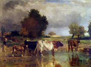 Koe en kalf bij de vijver of de drinkbak