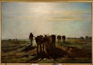 De ossen gaan ploegen, ochtend effect