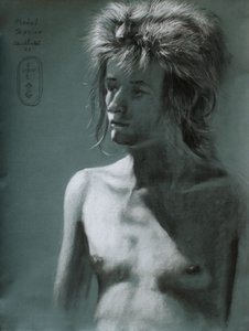 Portret met wilde haarschaduw