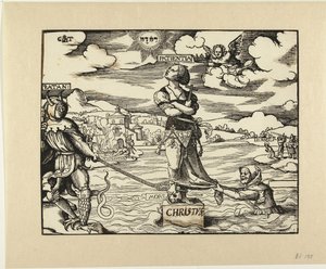 Geduld op een steen in het water